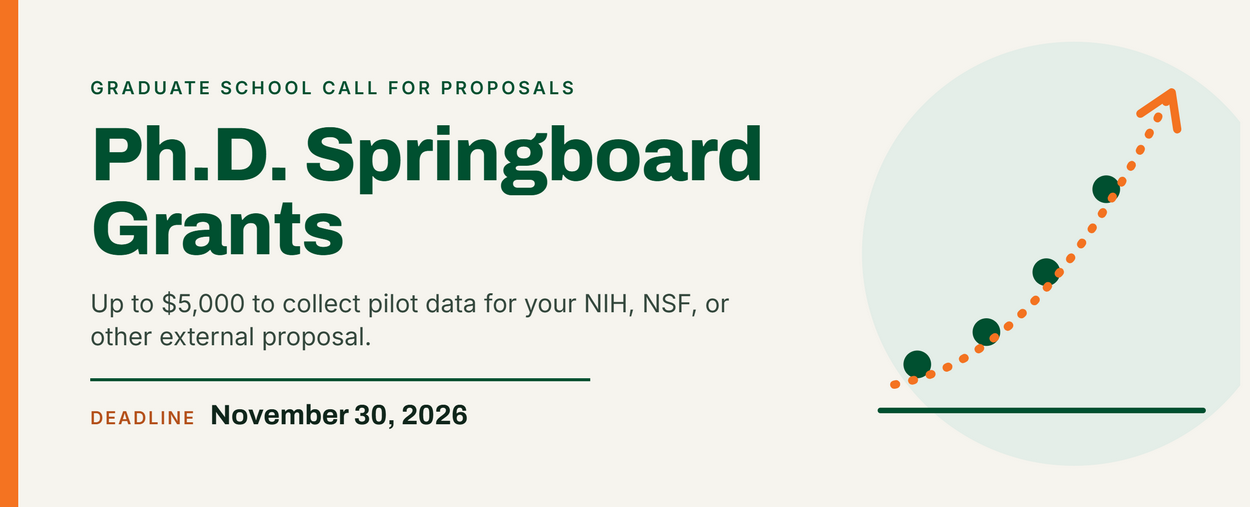 springboard large