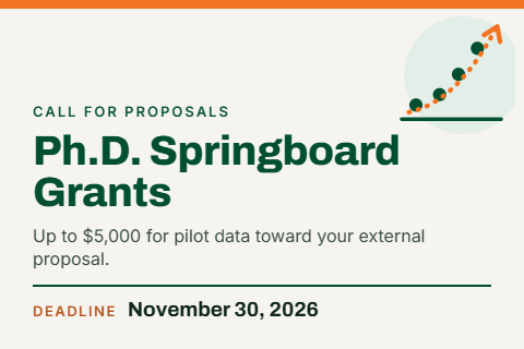 springboard small